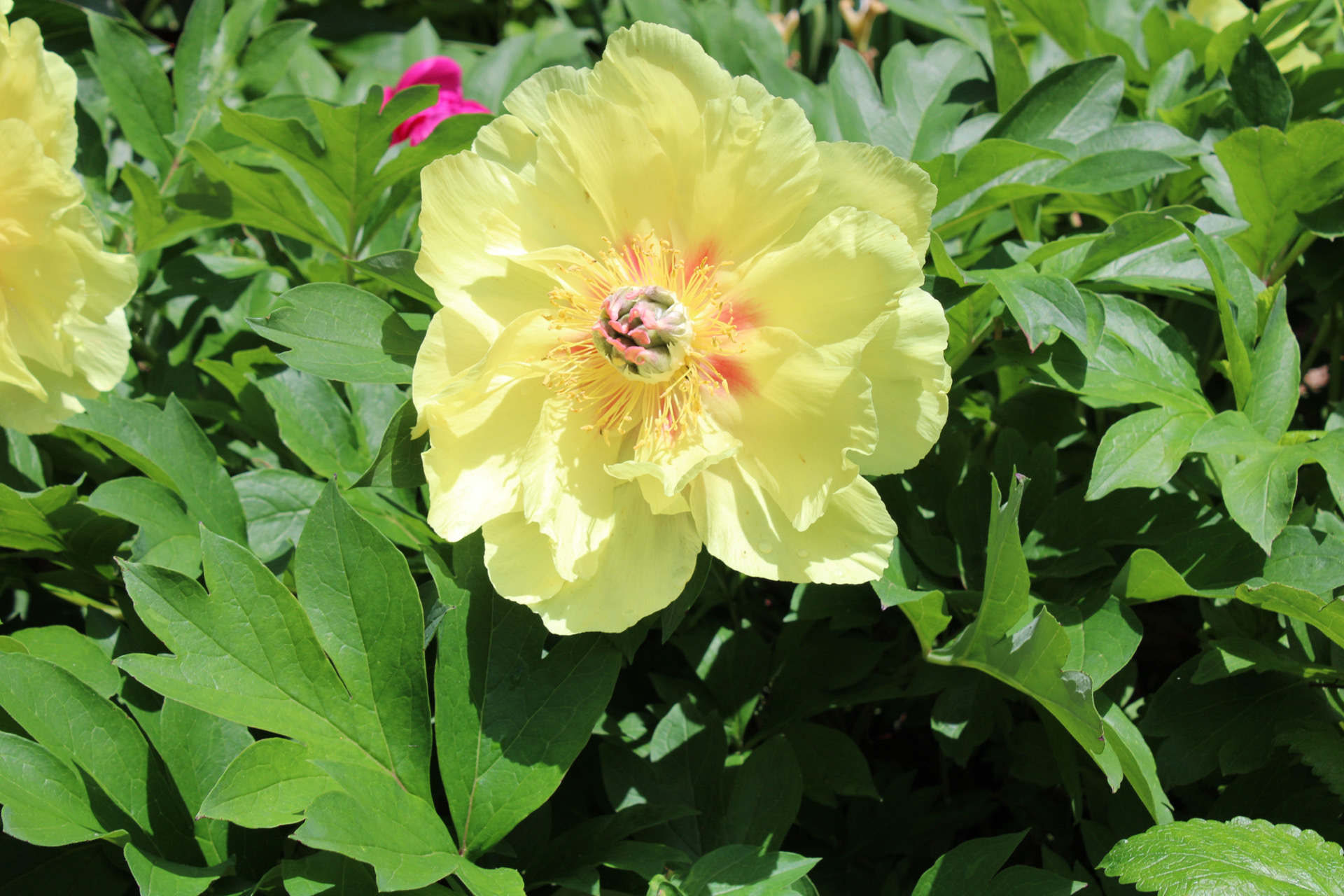 Landscape Solutions